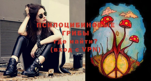 jwh Инсар