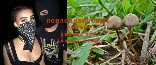 jwh Инсар