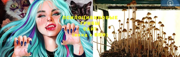 jwh Инсар